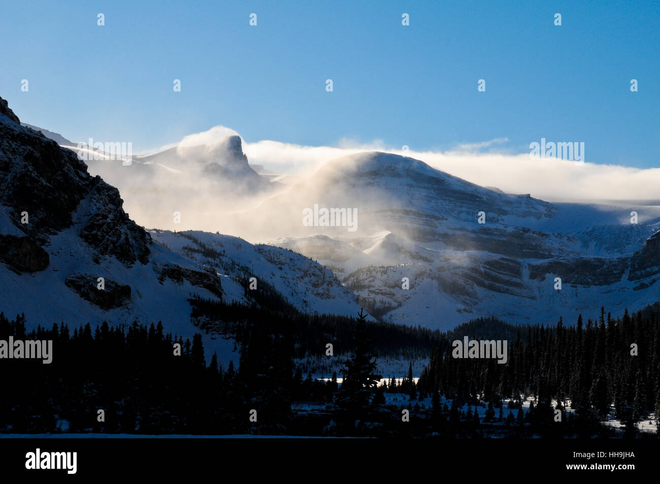 Bleu, beau, beauteously, Nice, de l'environnement, Environnement, arbre, colline, parc, Banque D'Images
