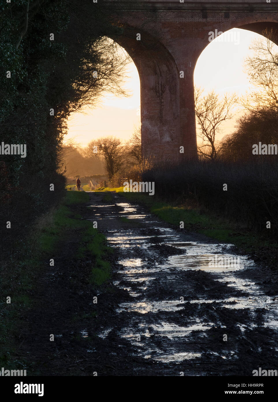 Scène d'hiver avec un soleil de l'après-midi illuminant par des arches viaduc de chemin de fer et une promenade de chien se déplaçant dans et de capturer la lumière du soleil Banque D'Images