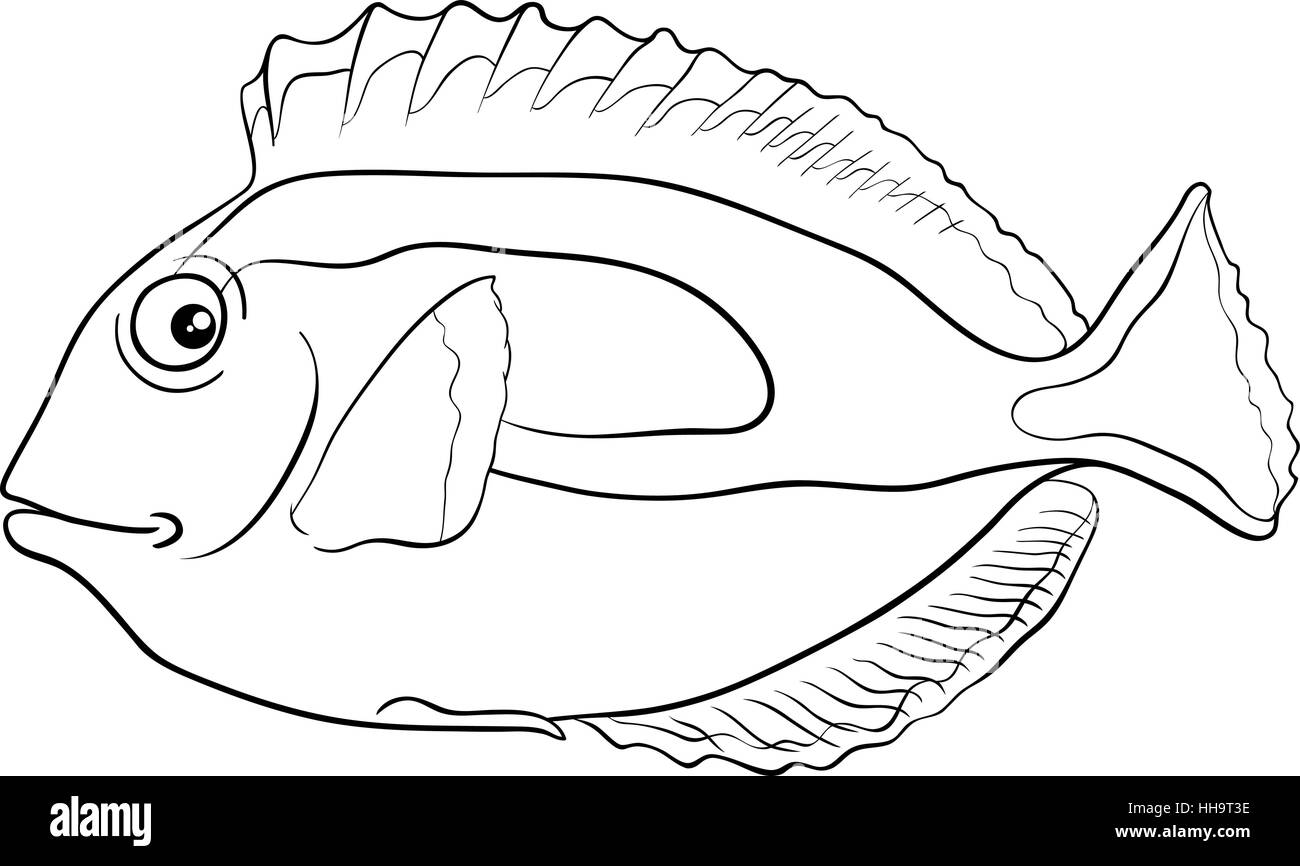 Cartoon noir et blanc Illustration de Cartoon Illustration de dupliquer ou bleu poisson Tang Personnage Animal Sea Life Page à colorier Illustration de Vecteur