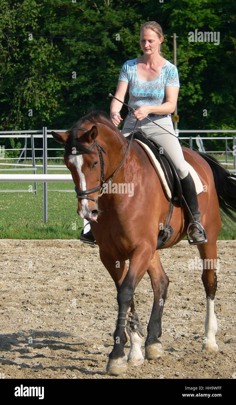 L'équitation jeune femme dans un parcours à l'heure d'été Banque D'Images