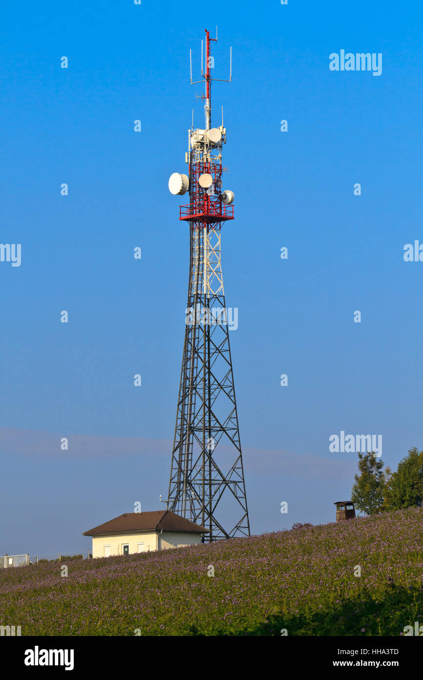 Signe, signal, téléphone, téléphone, station, bleu, tour, de l'industrie, de l'industrie, Banque D'Images