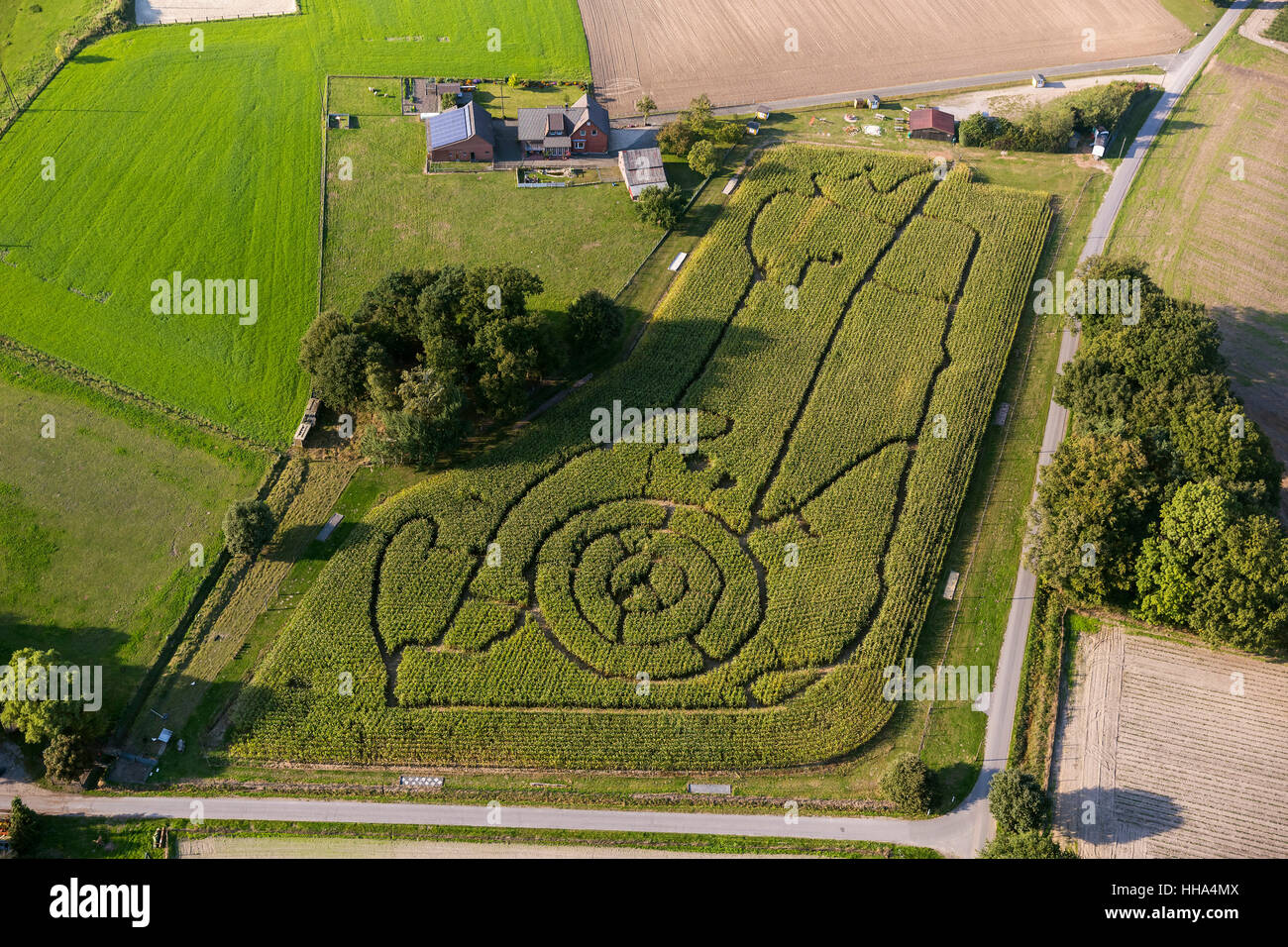 Labyrinthe de maïs en forme de personnage de paysannerie Brackenberg Besten, Isselburg, Ruhr, Rhénanie du Nord-Westphalie, Banque D'Images