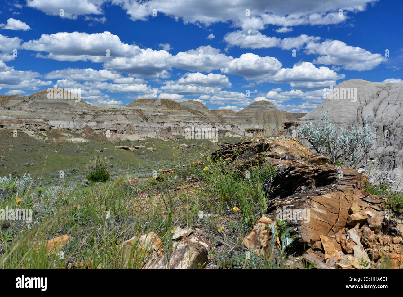 Les badlands, le parc provincial Dinosaur, en Alberta, Canada Banque D'Images