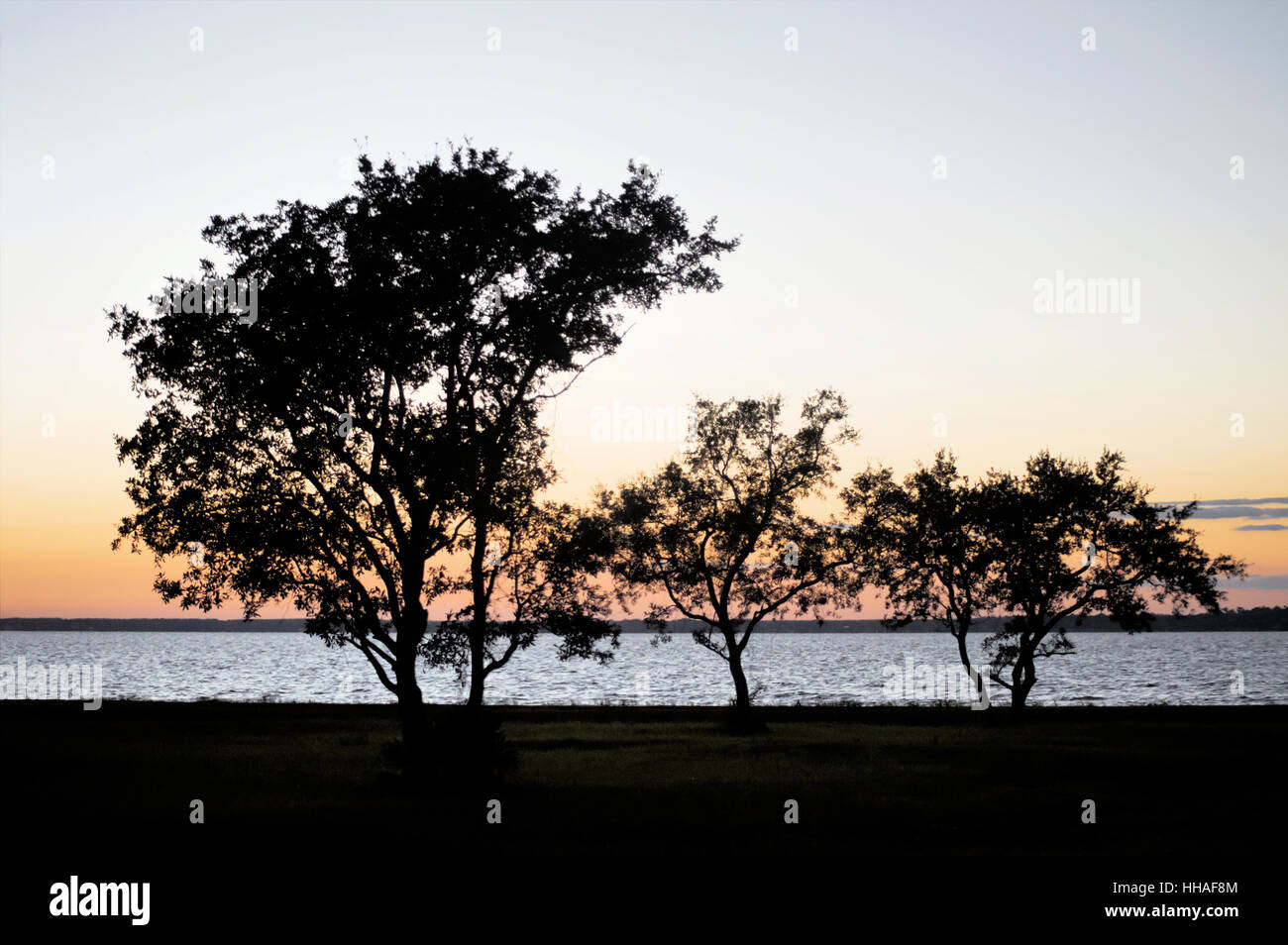 Three tree silhouette sur l'océan et le coucher du soleil. Banque D'Images