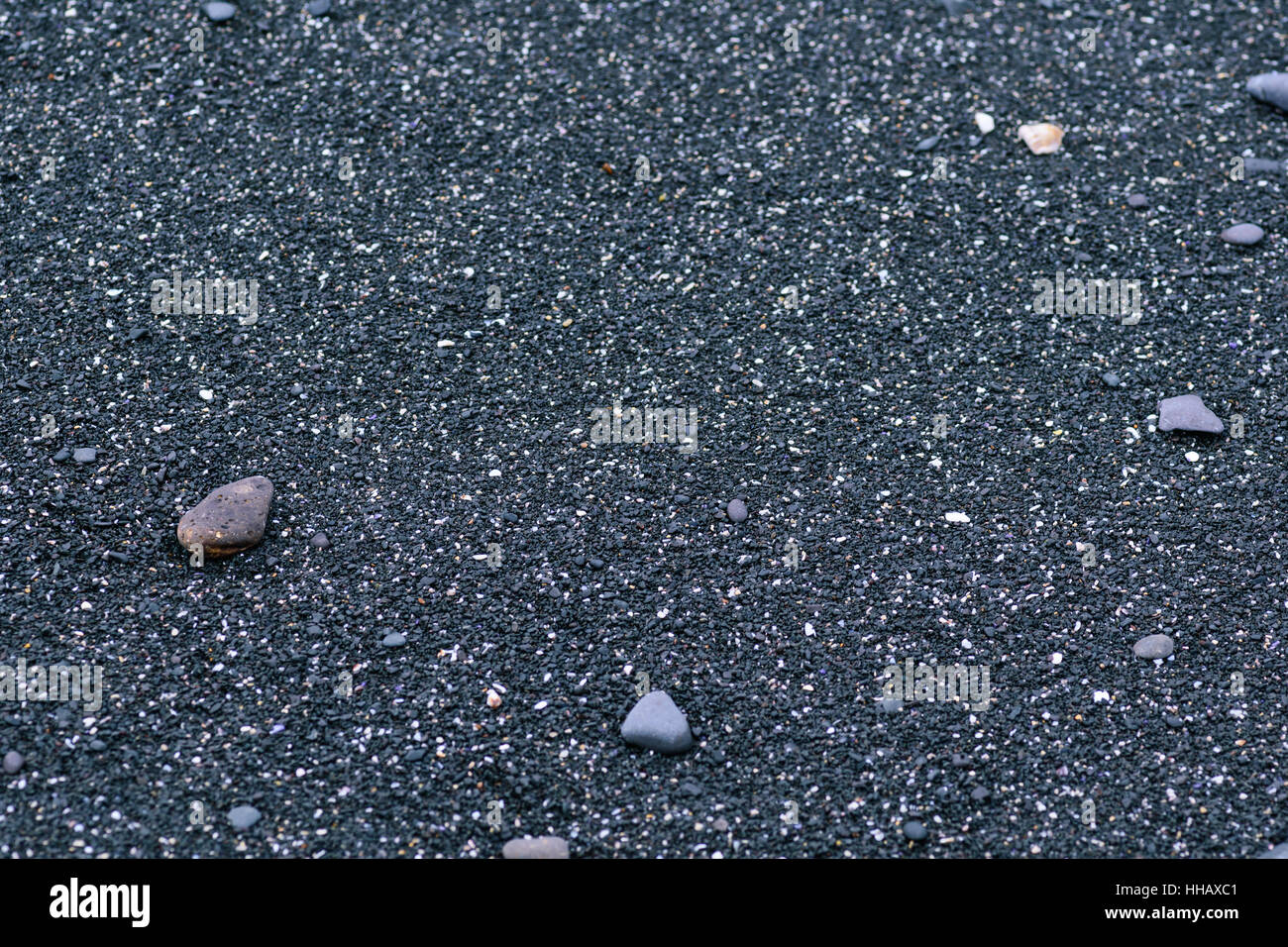 Plage de rochers noirs, New South Wales Australie Banque D'Images