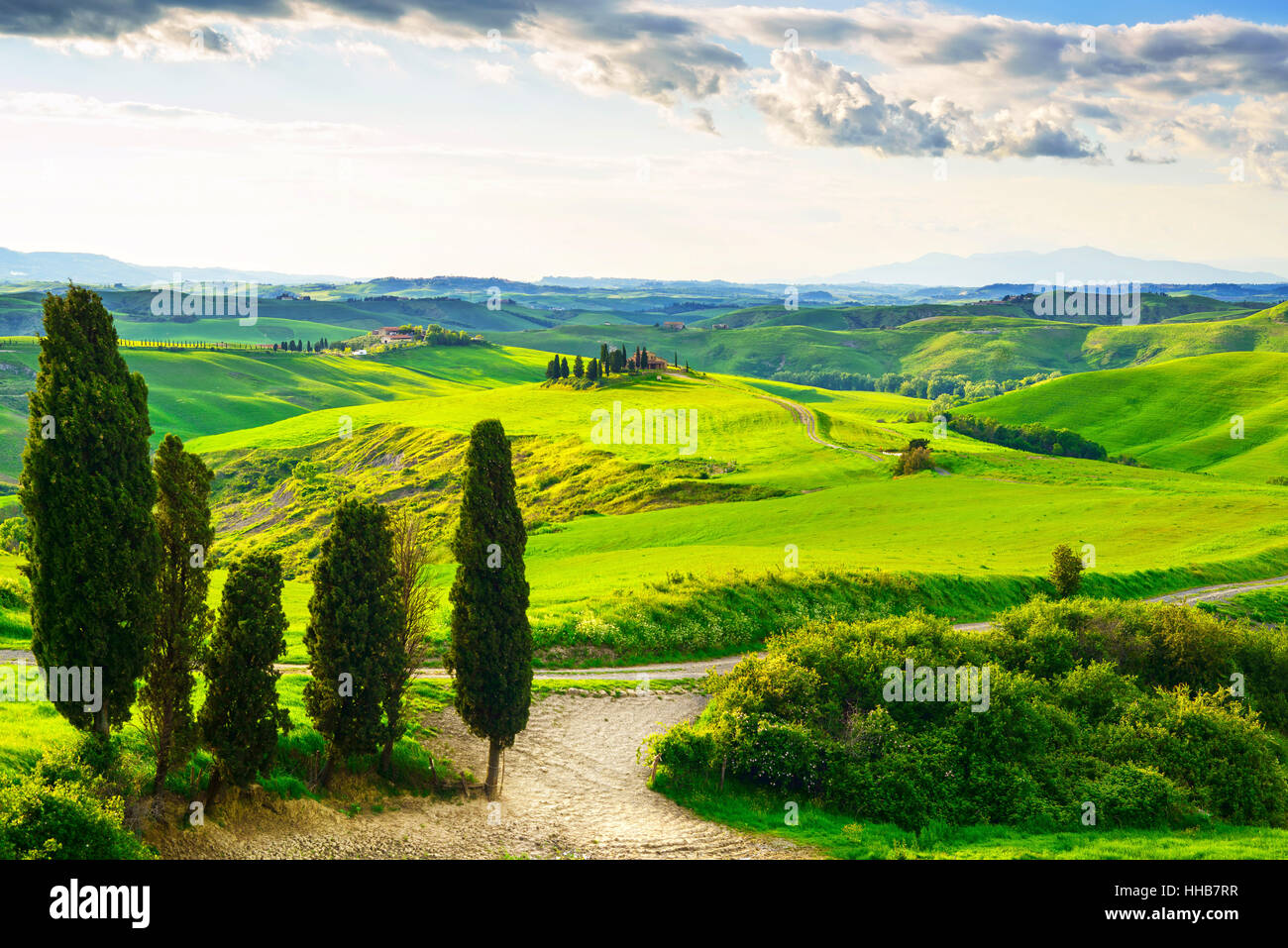 La toscane, paysage rural coucher du soleil. Campagne ferme, cyprès, arbres champ vert, la lumière du soleil et de nuages. Volterra, Italie, Europe. Banque D'Images