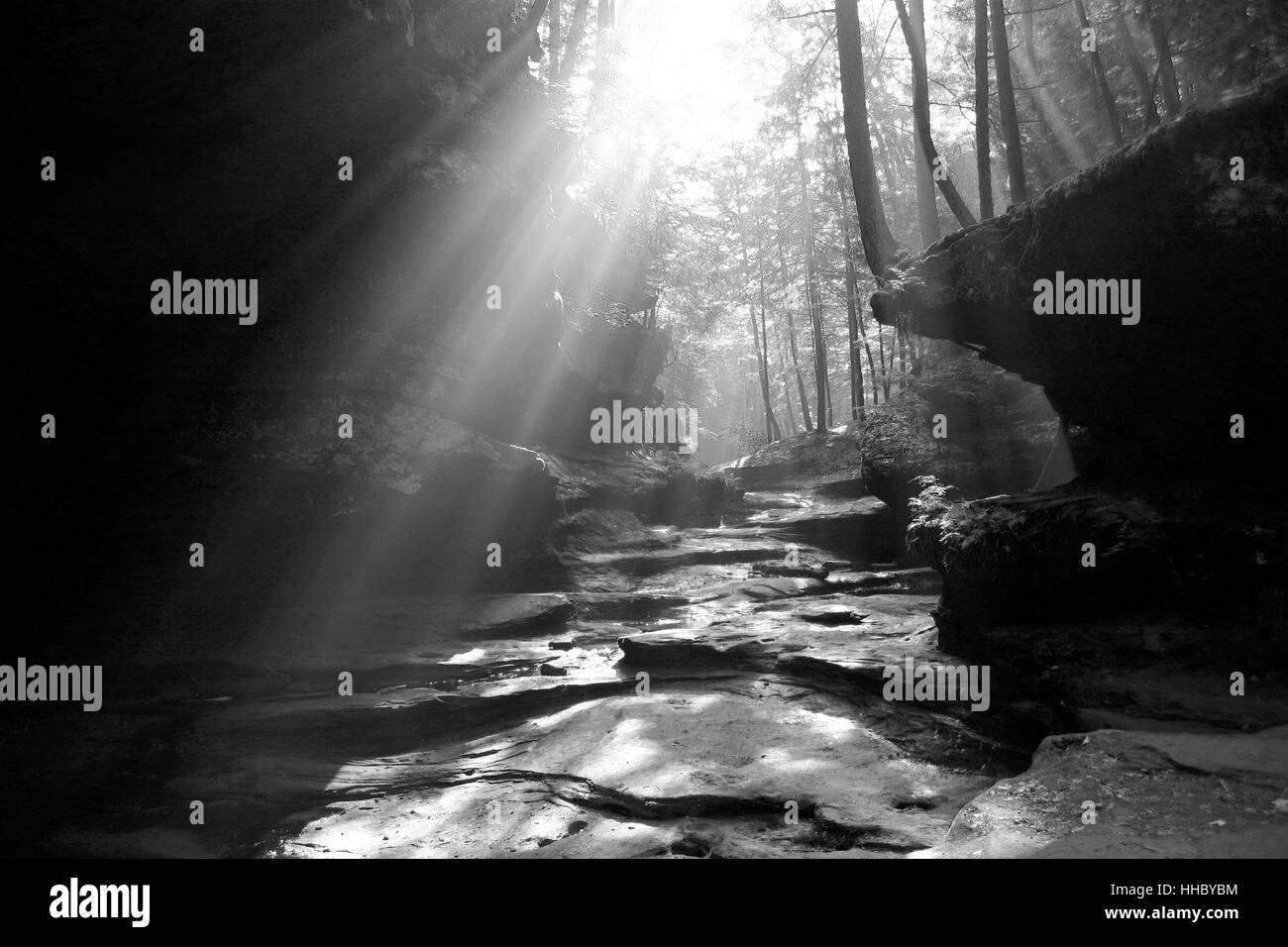 Soleil brille à travers les arbres dans la vallée rocheuse Banque D'Images