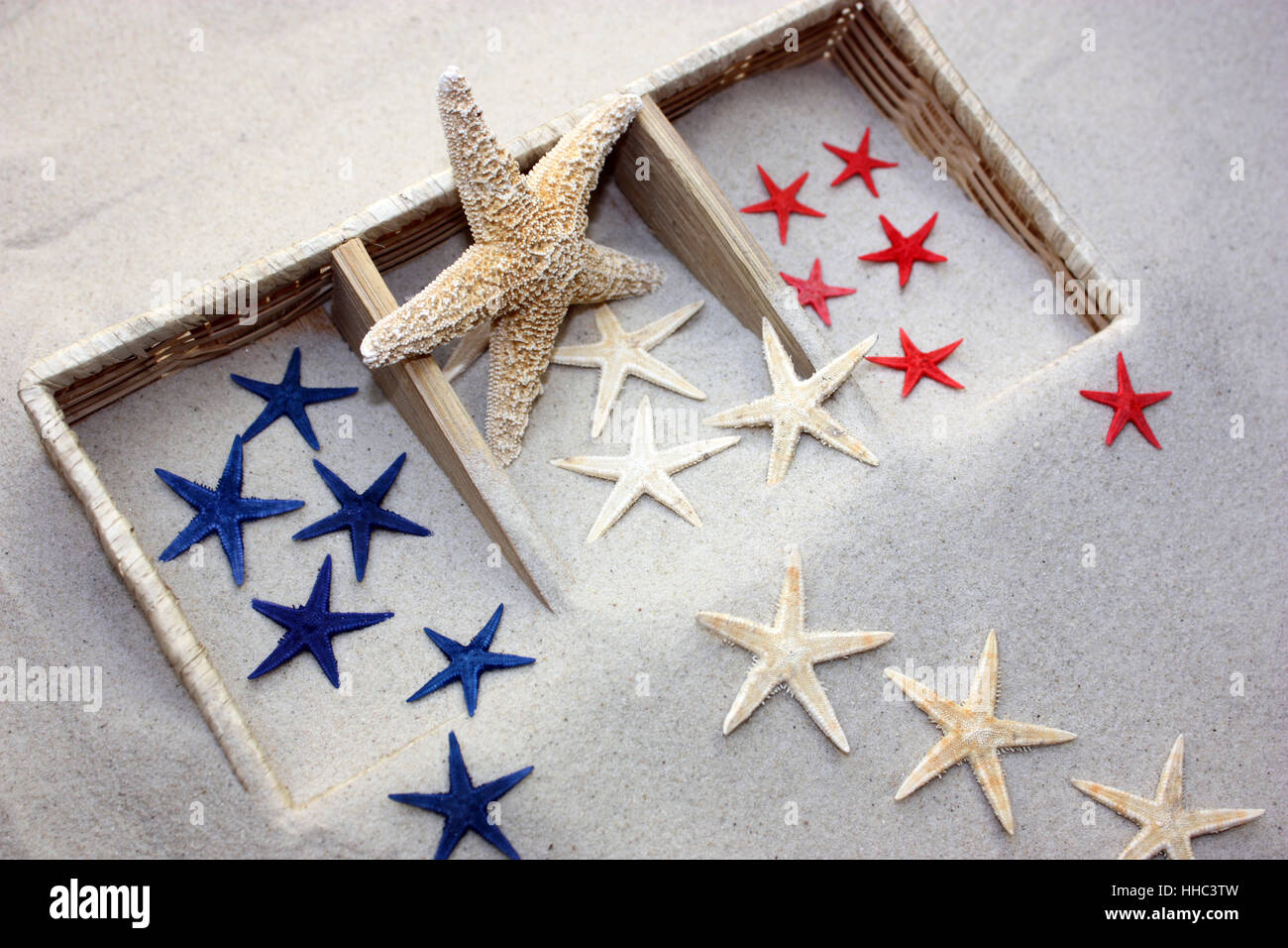 Plage, mer, la plage, mer, plage de sable fin, des étoiles de mer, les animaux, Banque D'Images