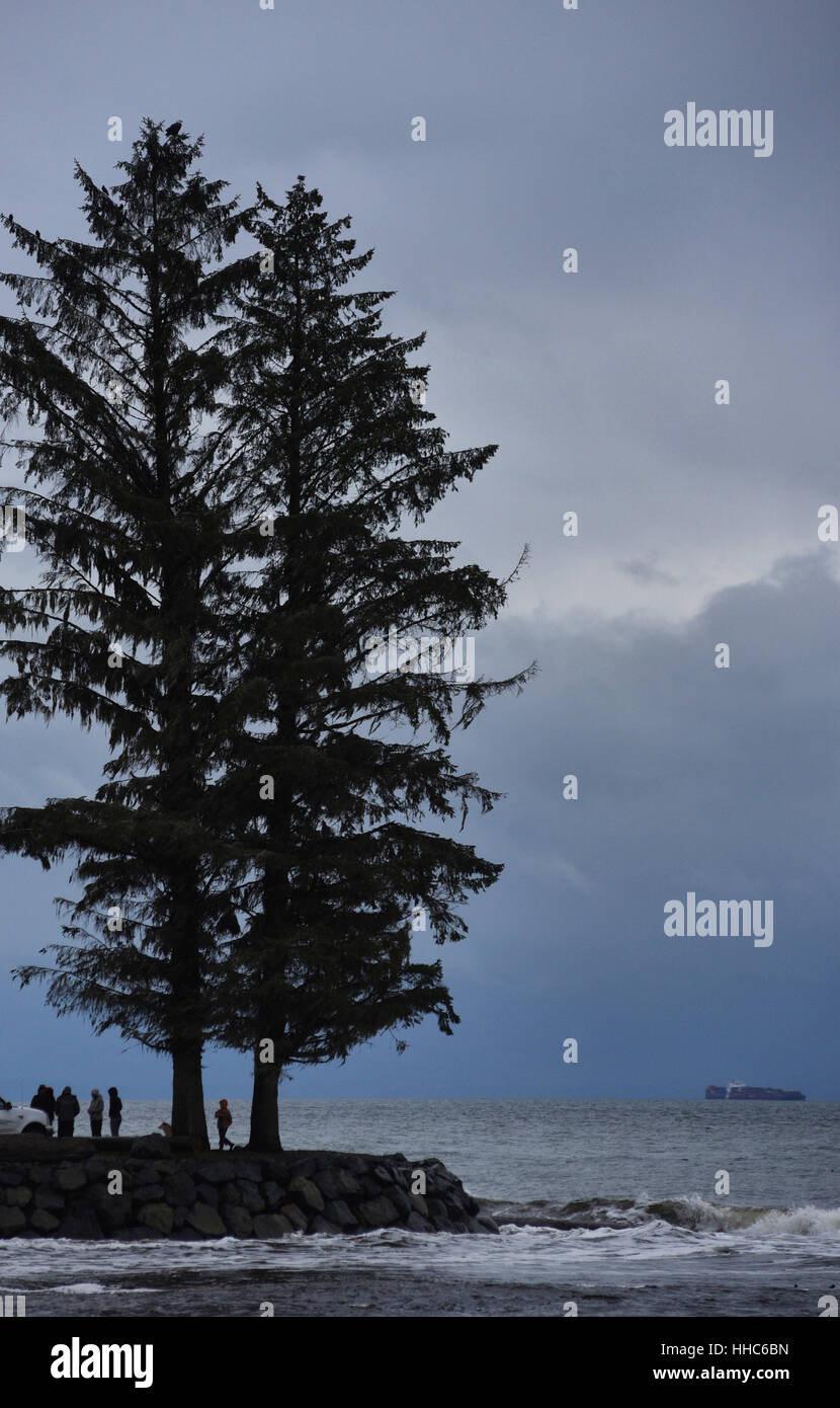 Les surfeurs silhouettés se tiennent à côté de deux arbres sur un point de terre dans la rivière Jordan, un endroit de surf populaire sur l'océan Pacifique sur l'île de Vancouver, Banque D'Images