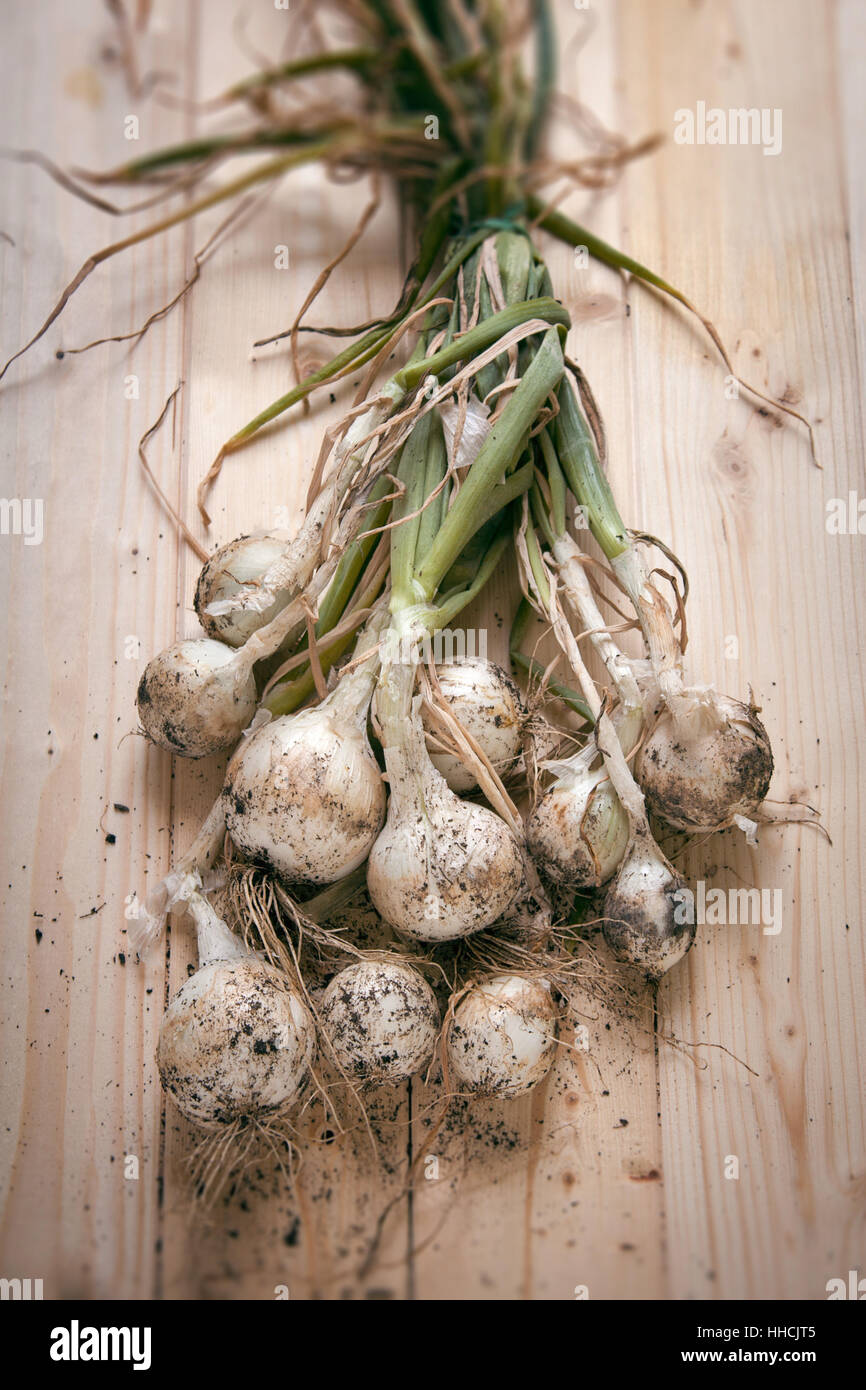 La nourriture, aliment, oignons, rustique, rustique, préparé, légumes, aliments, ingrédients, Banque D'Images