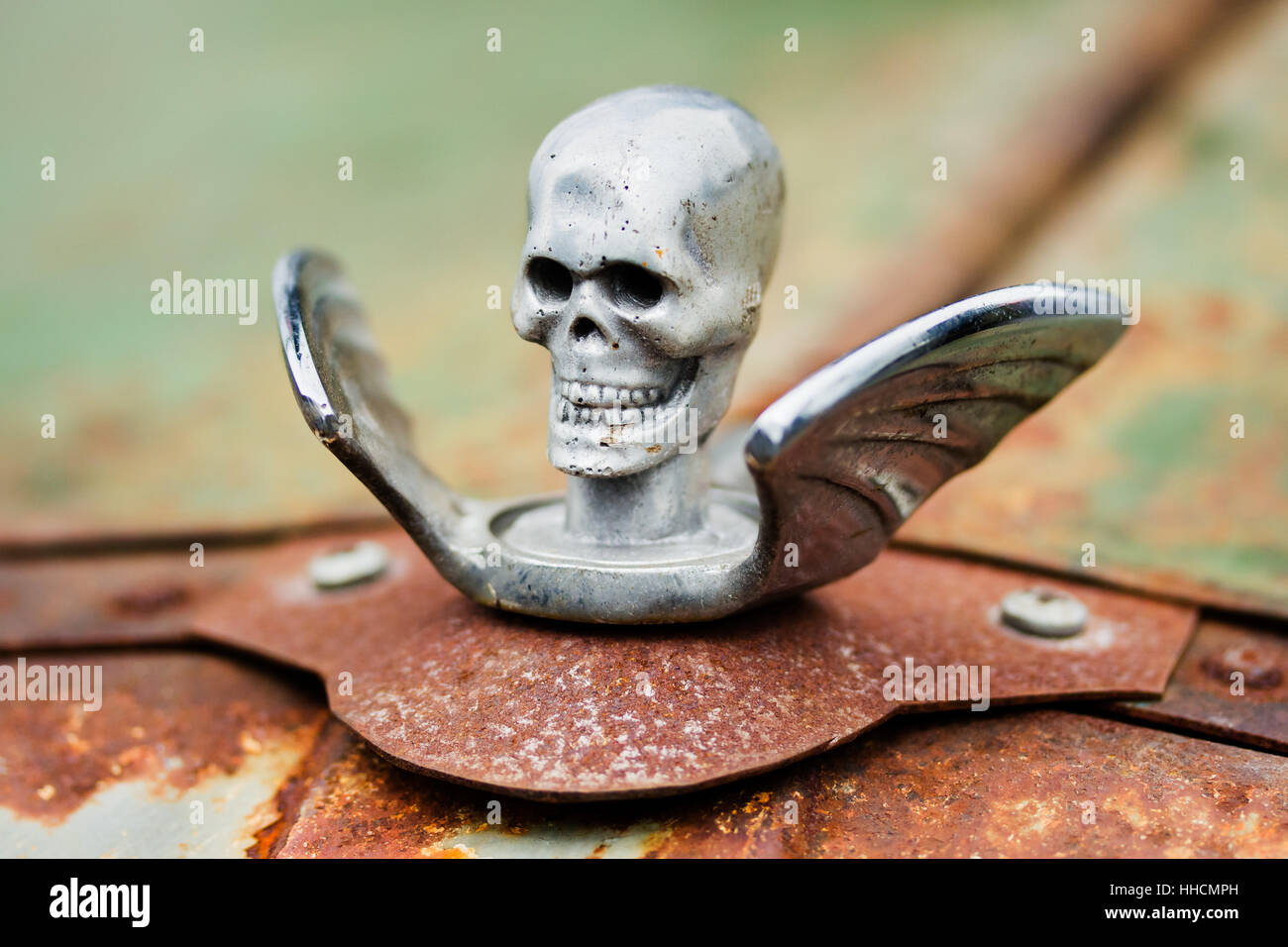 Skull car hood ornament Banque de photographies et d’images à haute