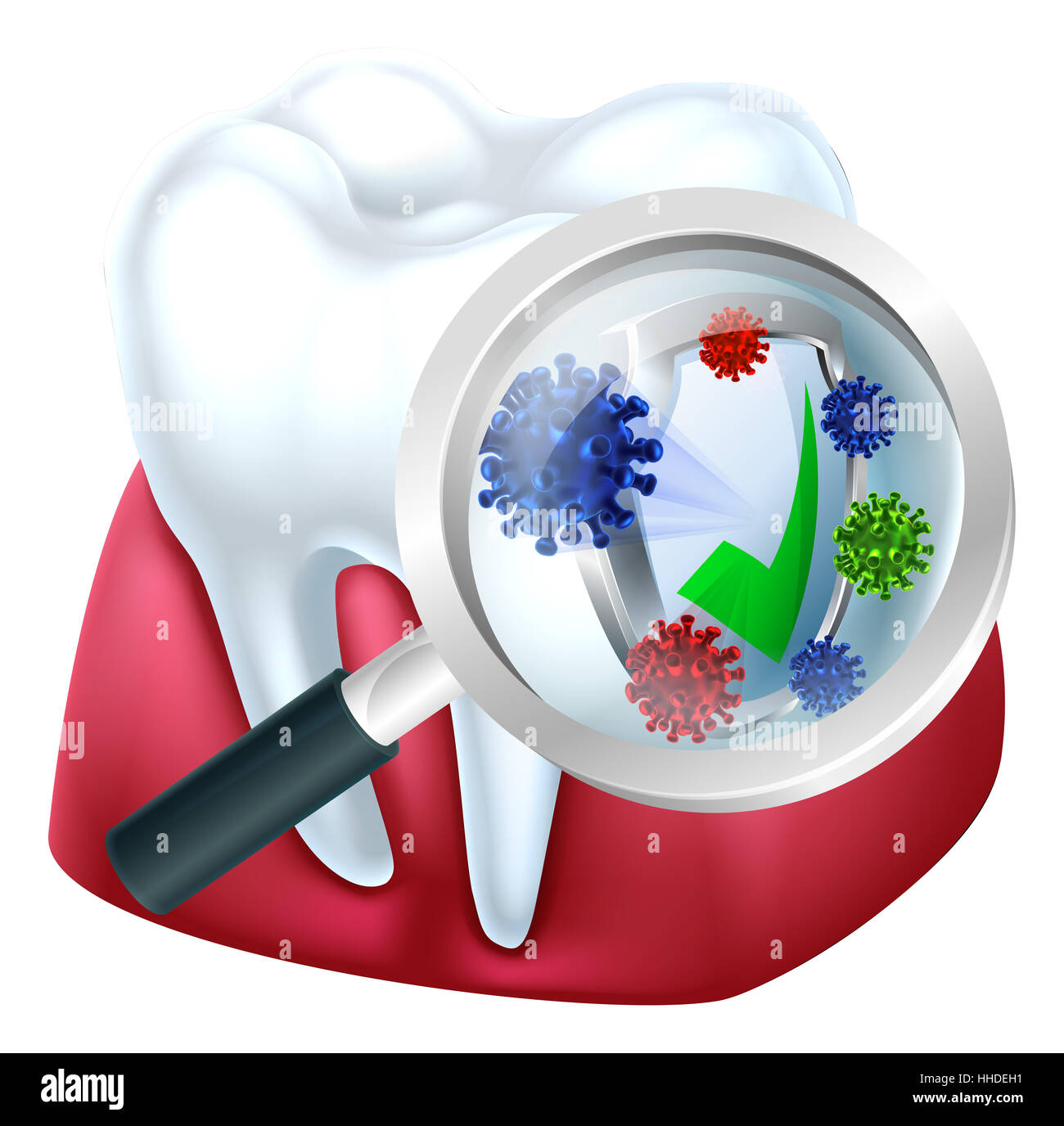 Dent et la gencive protégé contre les bactéries par un bouclier vu à travers une loupe medical dental illustration d'un Banque D'Images