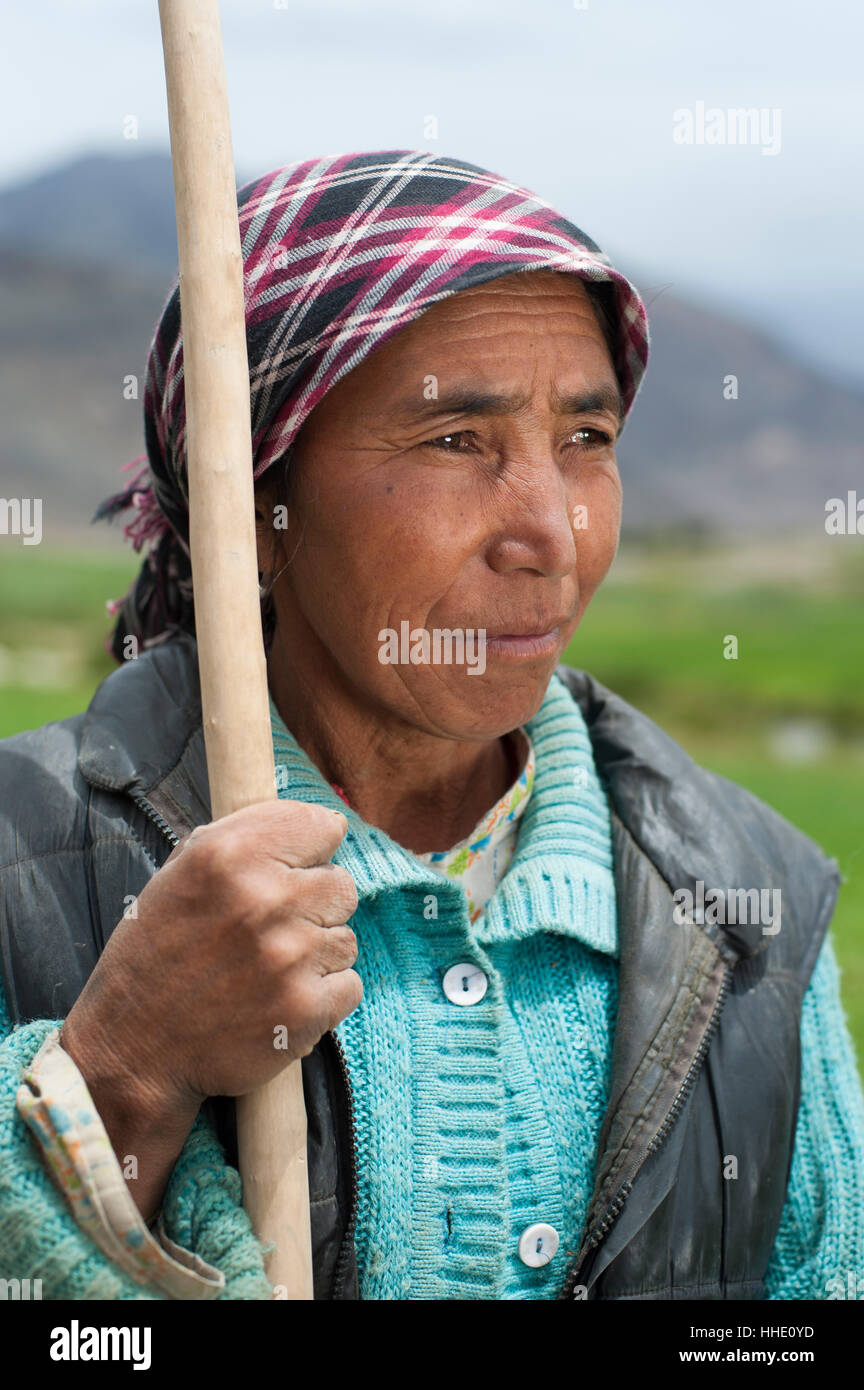 Un agriculteur de l'Ladakhis Vallée de Nubra dans le nord de l'Inde, le Ladakh, Inde Banque D'Images
