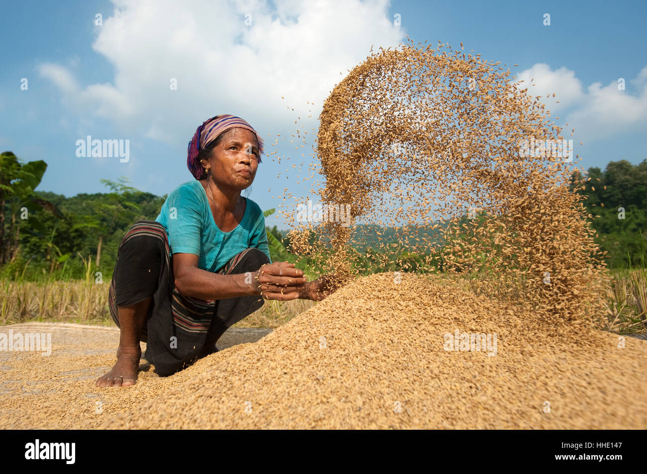 Une femme jette le riz en l'air avec ses mains pendant qu'un autre, l'air à travers des fans de Chittagong, Bangladesh Banque D'Images
