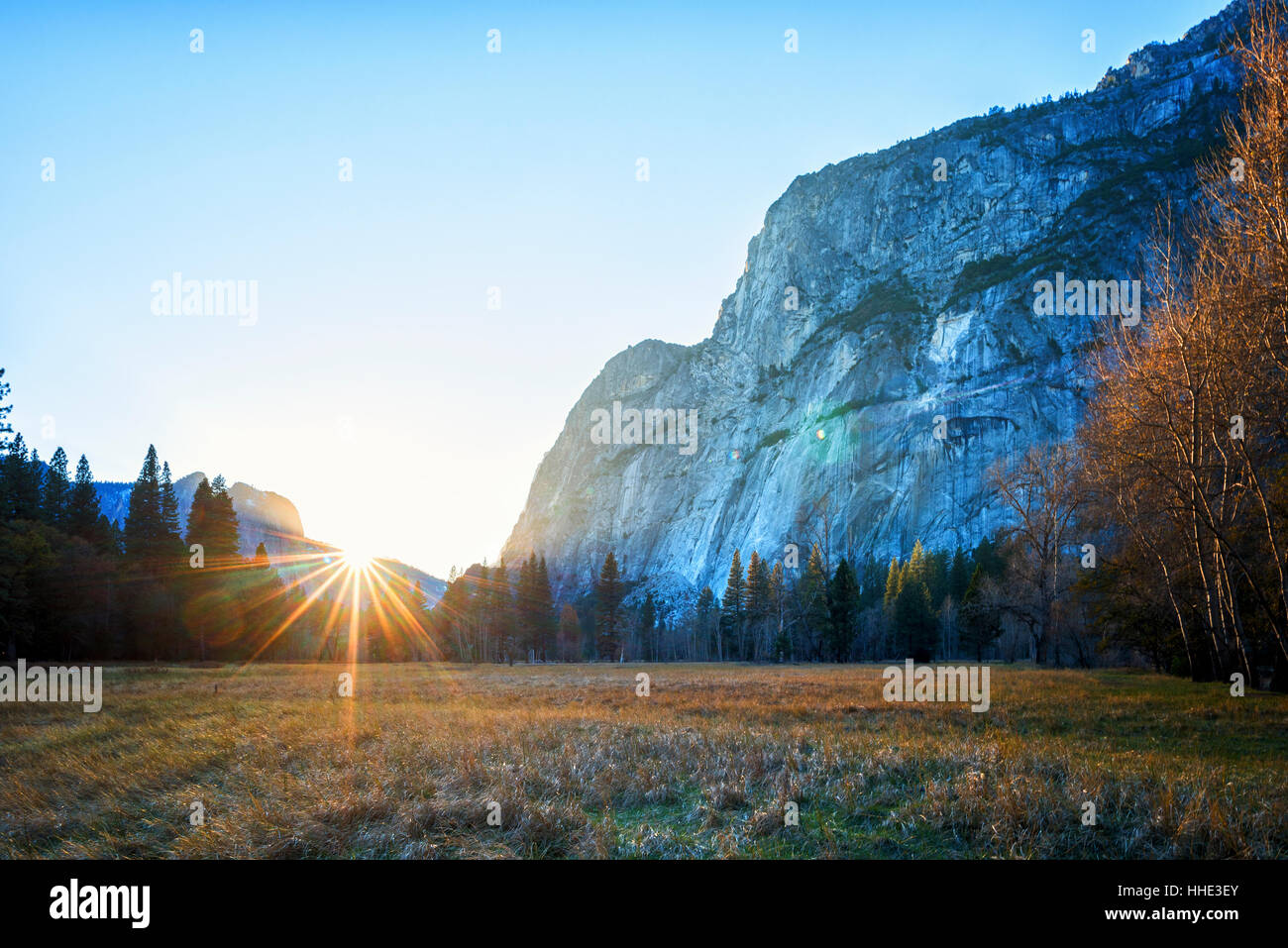 Yosemite National Park, le paysage spectaculaire et les vallées dans le parc, avec des falaises et forêt de pins. Banque D'Images