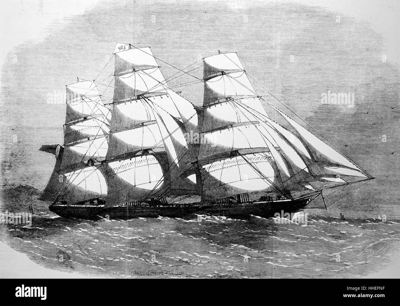 Gravure de la nouvelle Famille royale australienne 'Clipper'. En date du 19e siècle Banque D'Images