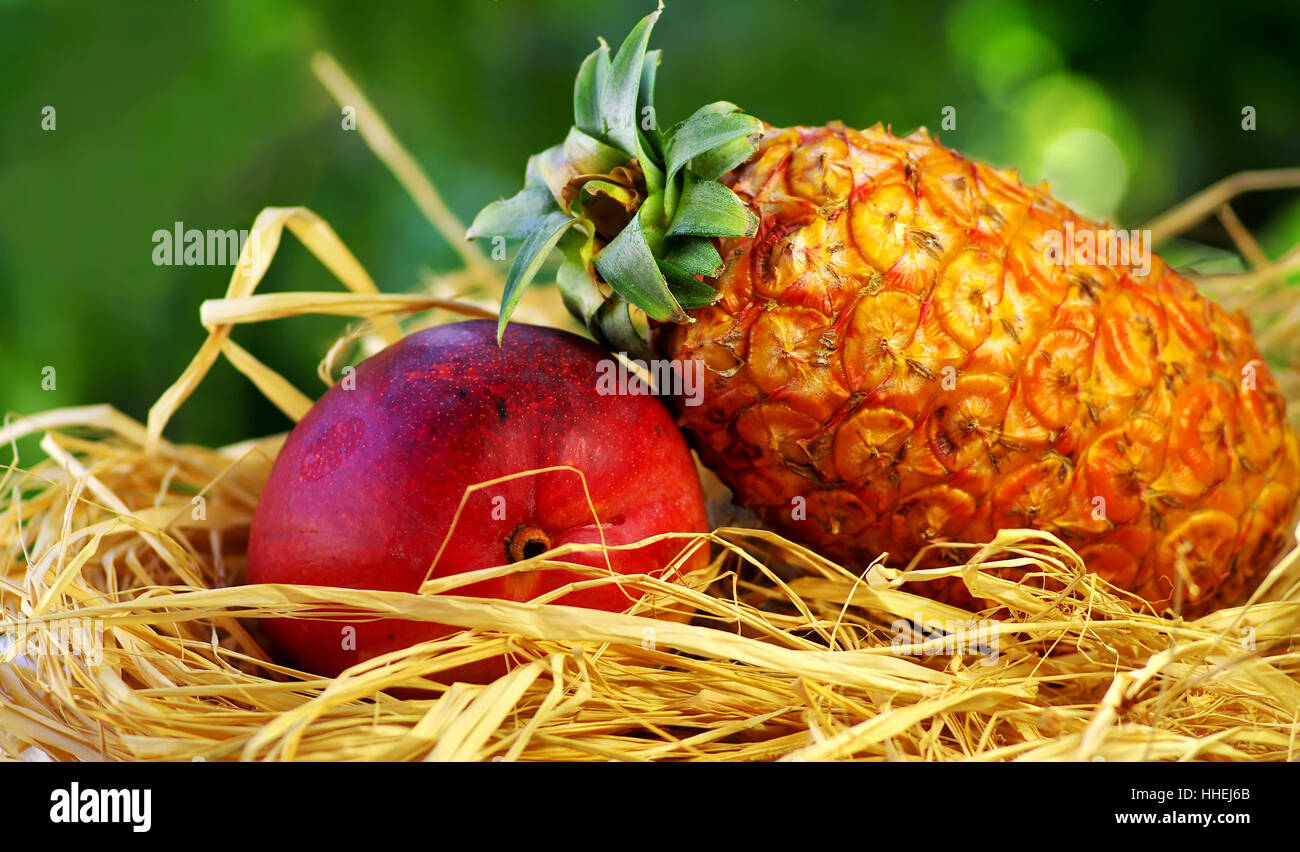 Pin, matières, ananas, des éléments nutritifs, la nature, les plantes, l'orange, de l'alimentation, aliment, objet, Banque D'Images