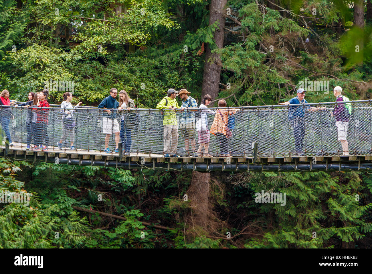 Les touristes sur la Cime des arbres du parc Capilano Aventure, Vancouver, Colombie-Britannique, Canada. Banque D'Images