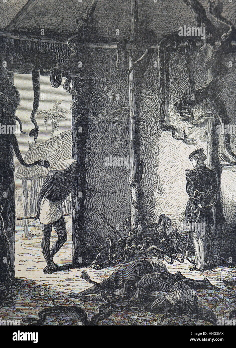 La religion animiste adorant les serpents. Le temple des serpents au Dahomey, l'Afrique. Banque D'Images