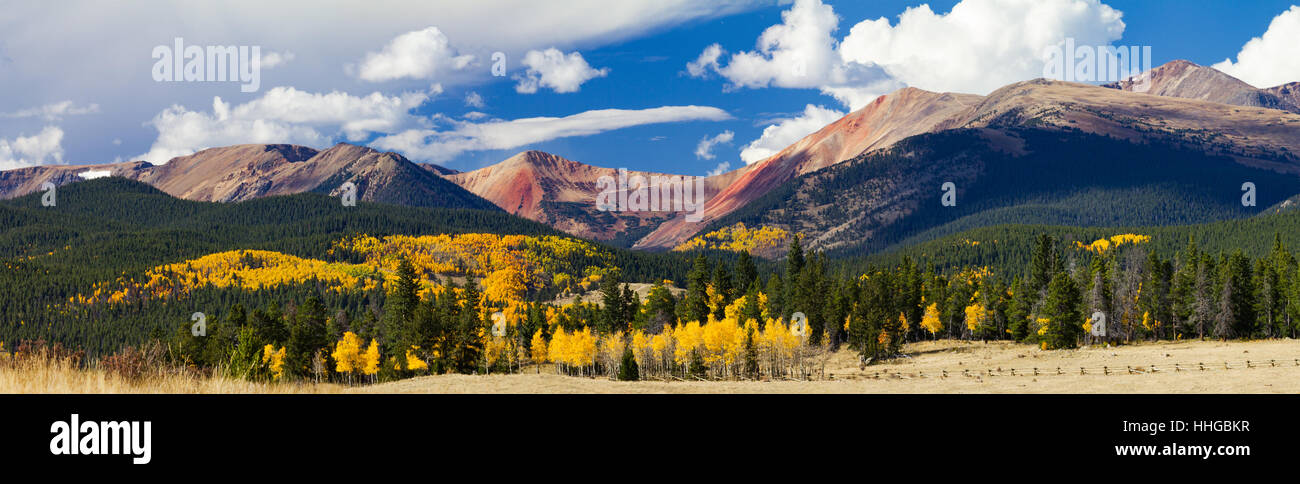 Vue panoramique du paysage d'automne avec une forêt de peupliers d'or dans les Montagnes Rocheuses du Colorado Banque D'Images