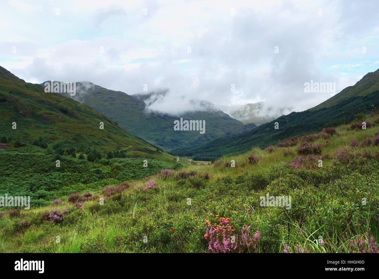 Envahis par les paysages de la colline en Ecosse autour de Glenfinnan Banque D'Images