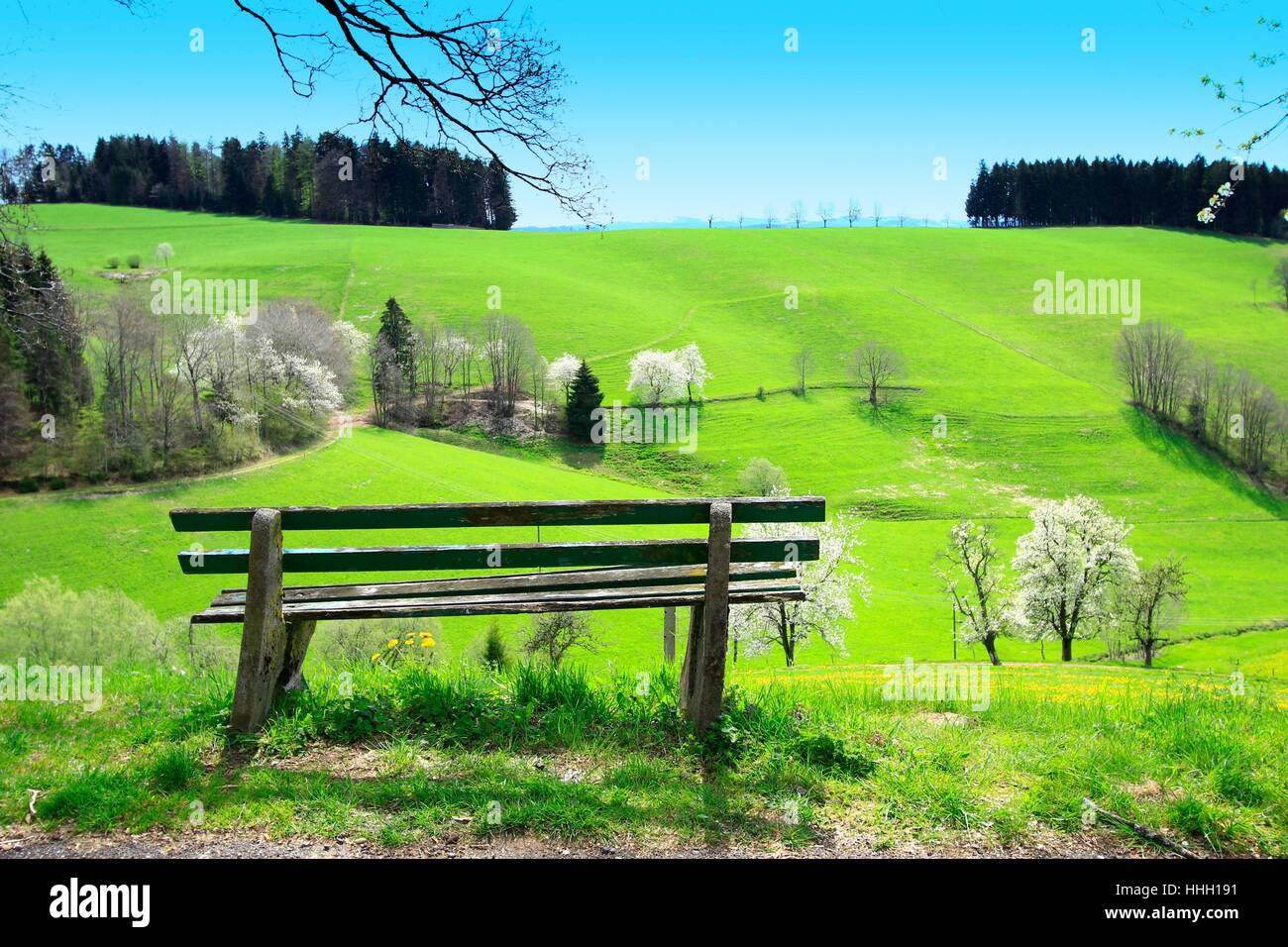 Paysages De Campagne Au Printemps Printemps, pittoresque et idyllique, personne, siège, banc, paysage, campagne Photo Stock - Alamy