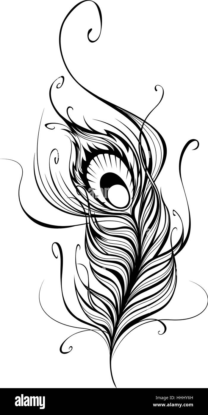 Tatouage Plume De Paon Noir Et Blanc