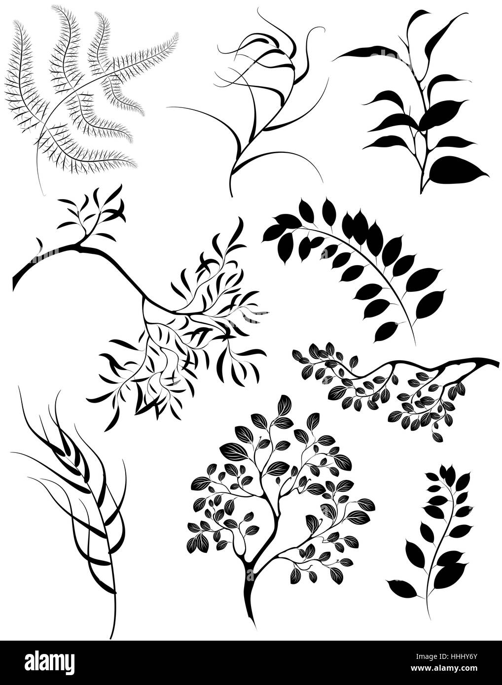 Silhouettes stylisées peint artistiquement de branches et de plantes décoratives. Illustration de Vecteur