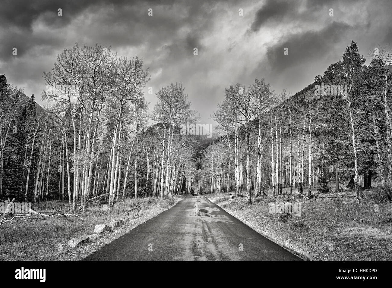 Photo noire et blanche d'une route des pluies, travel concept. Banque D'Images