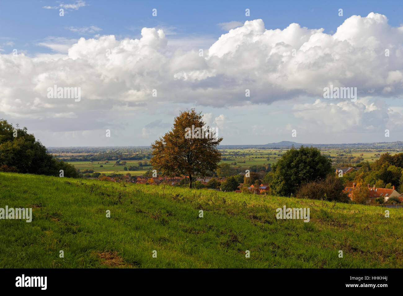 Champ, arbres et ciel bleu, Glastonbury, Somerset, Angleterre Banque D'Images