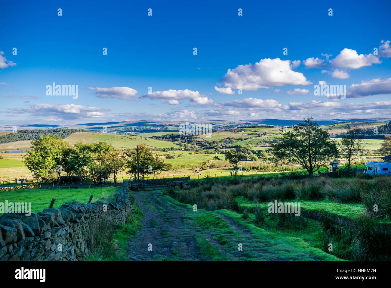 Vue panoramique sur les fermes en été. Forêt de Bowland, Lancashire, Angleterre Royaume-Uni Banque D'Images