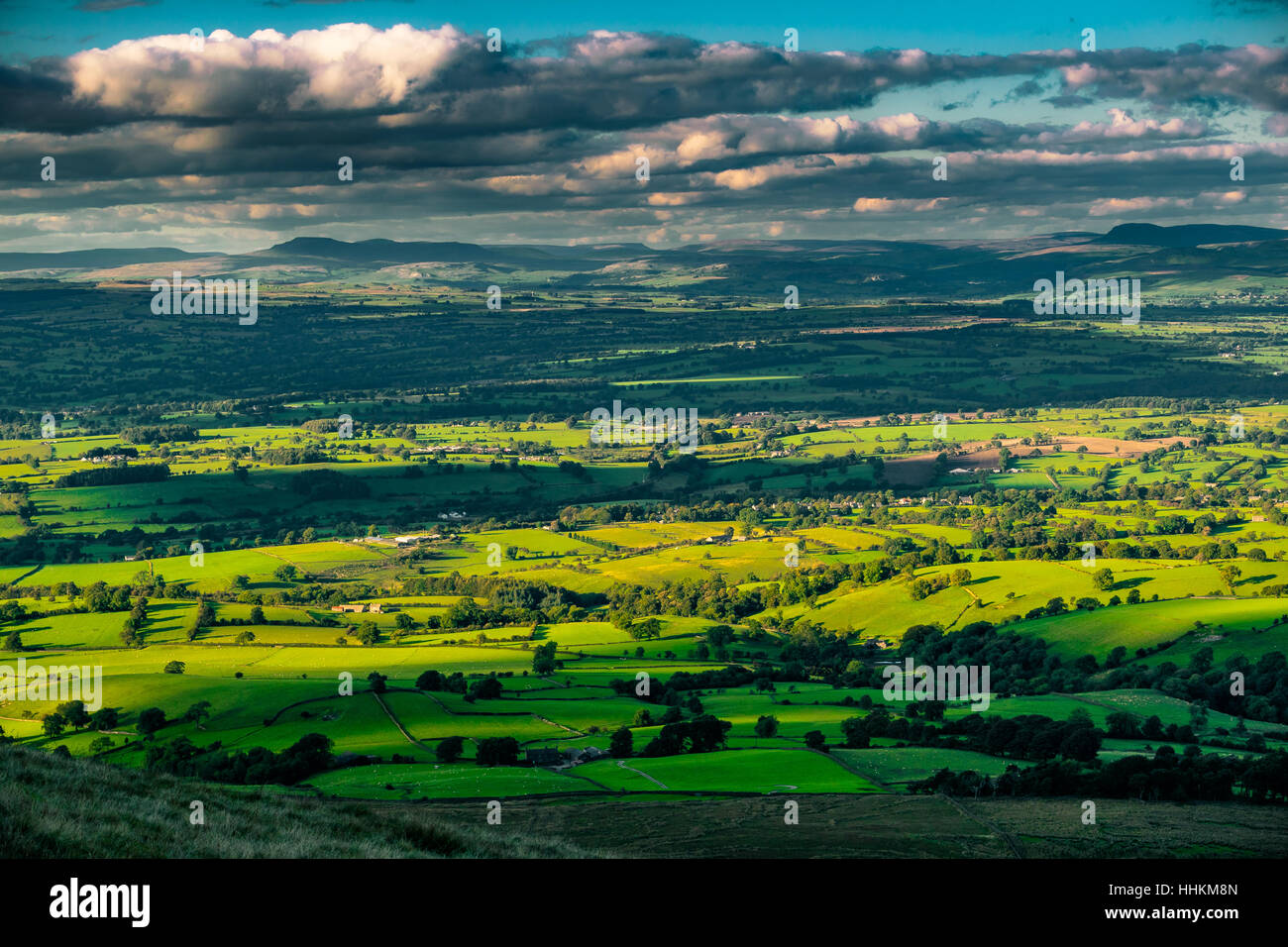 Vue panoramique sur les fermes en été. Forêt de Bowland, Lancashire, Angleterre Royaume-Uni Banque D'Images