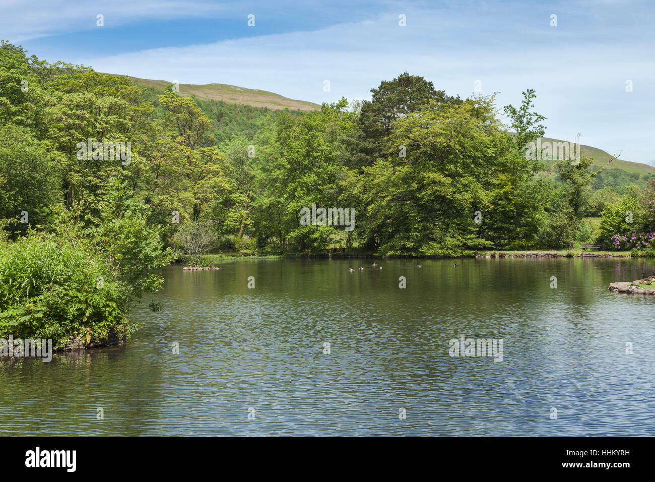 Le Vivier, Craig-y-Nos Country Park, Pen-y-cae, parc national de Brecon Beacons, Powys, Pays de Galles, Royaume-Uni Banque D'Images