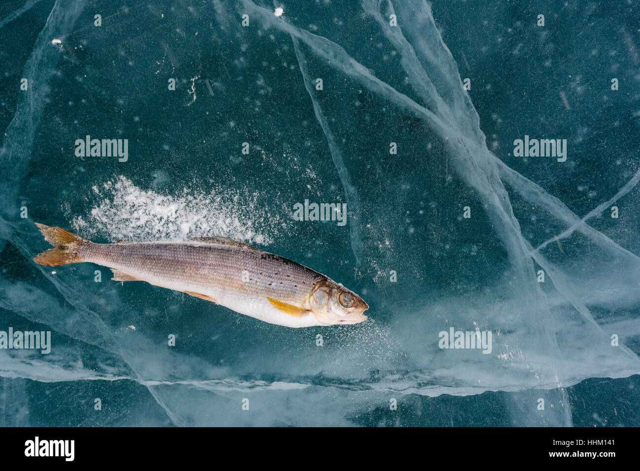 La pêche d'hiver sur le lac. Banque D'Images