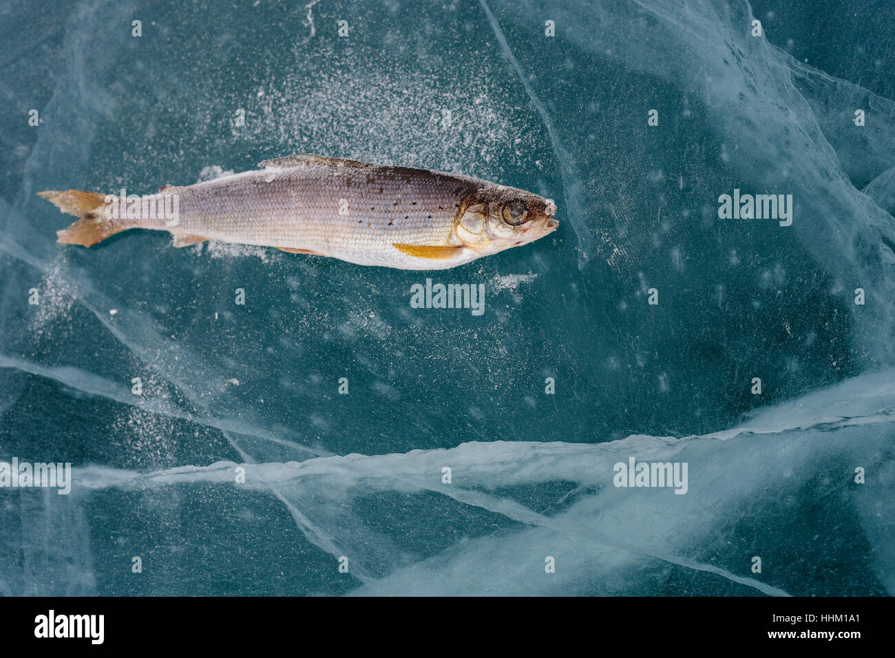 La pêche d'hiver sur le lac. Banque D'Images