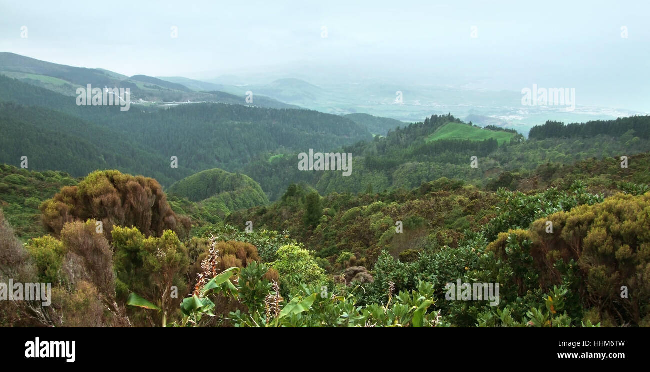 Envahis par les paysages côtiers de l'île de São Miguel, la plus grande île de l'archipel des Açores, un groupe d'îles volcanique situé au milieu de l'océan Atlantique Nord (Portugal) Banque D'Images