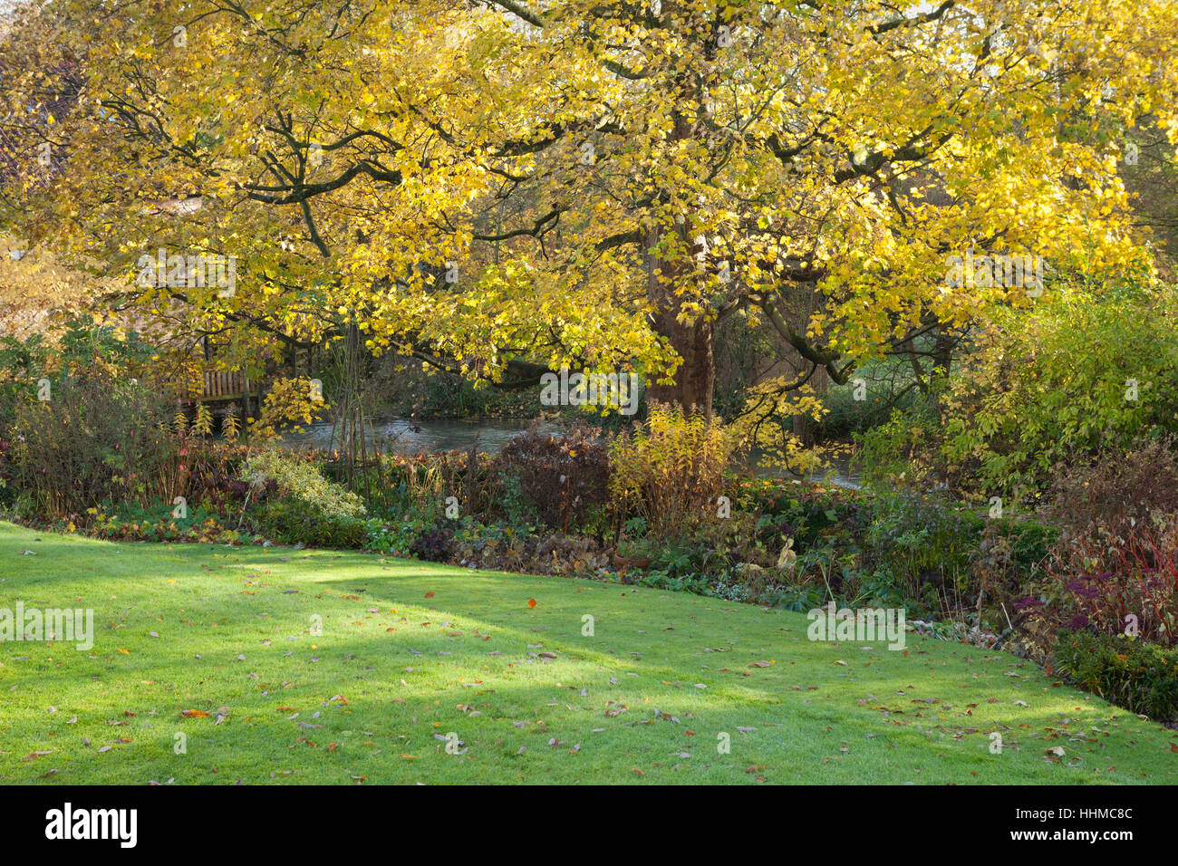 Fawley Jardin de la maison. En novembre 2016. Niveaux 2,5 acre jardin avec pelouses, arbres matures, couverture formelle, d'un ruisseau et de gravier. Banque D'Images