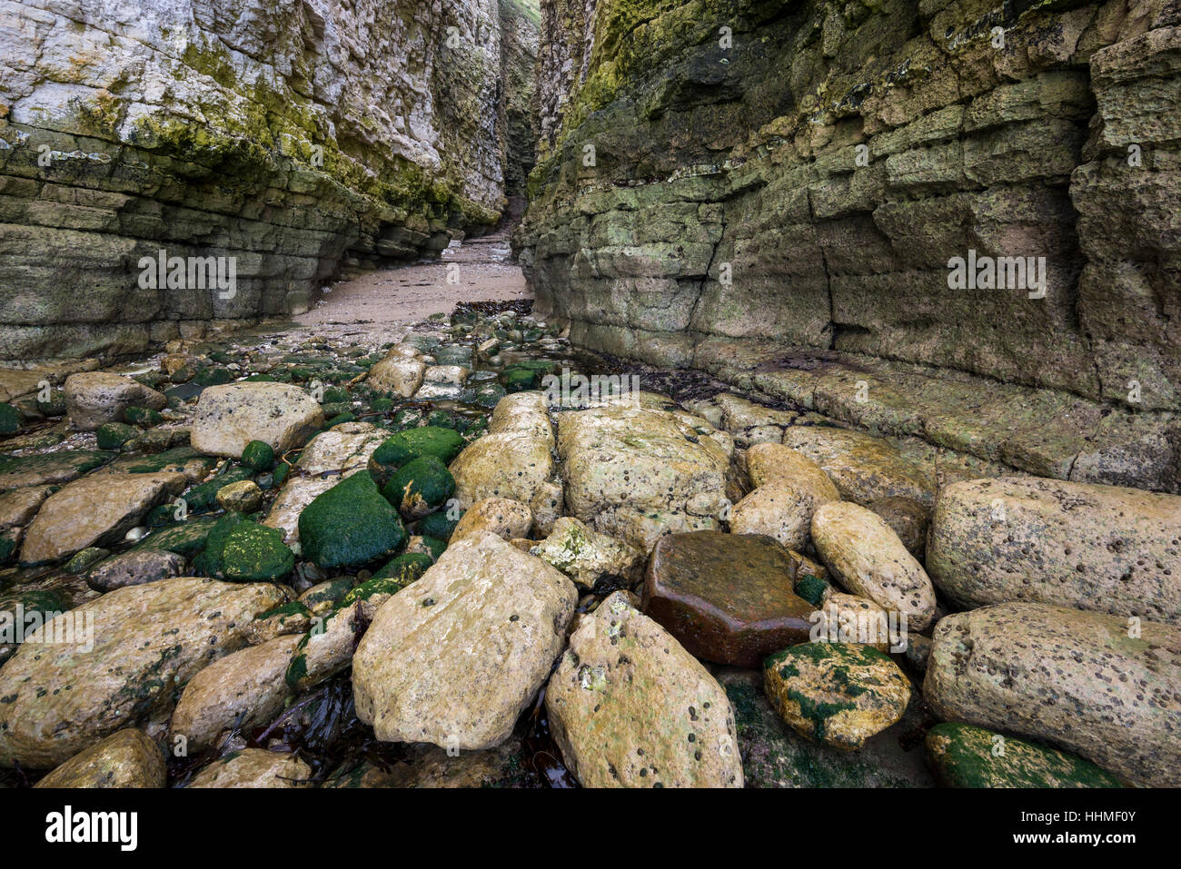 Des falaises rocheuses à Thornwick Bay près de Flamborough, North Yorkshire, Angleterre. Banque D'Images