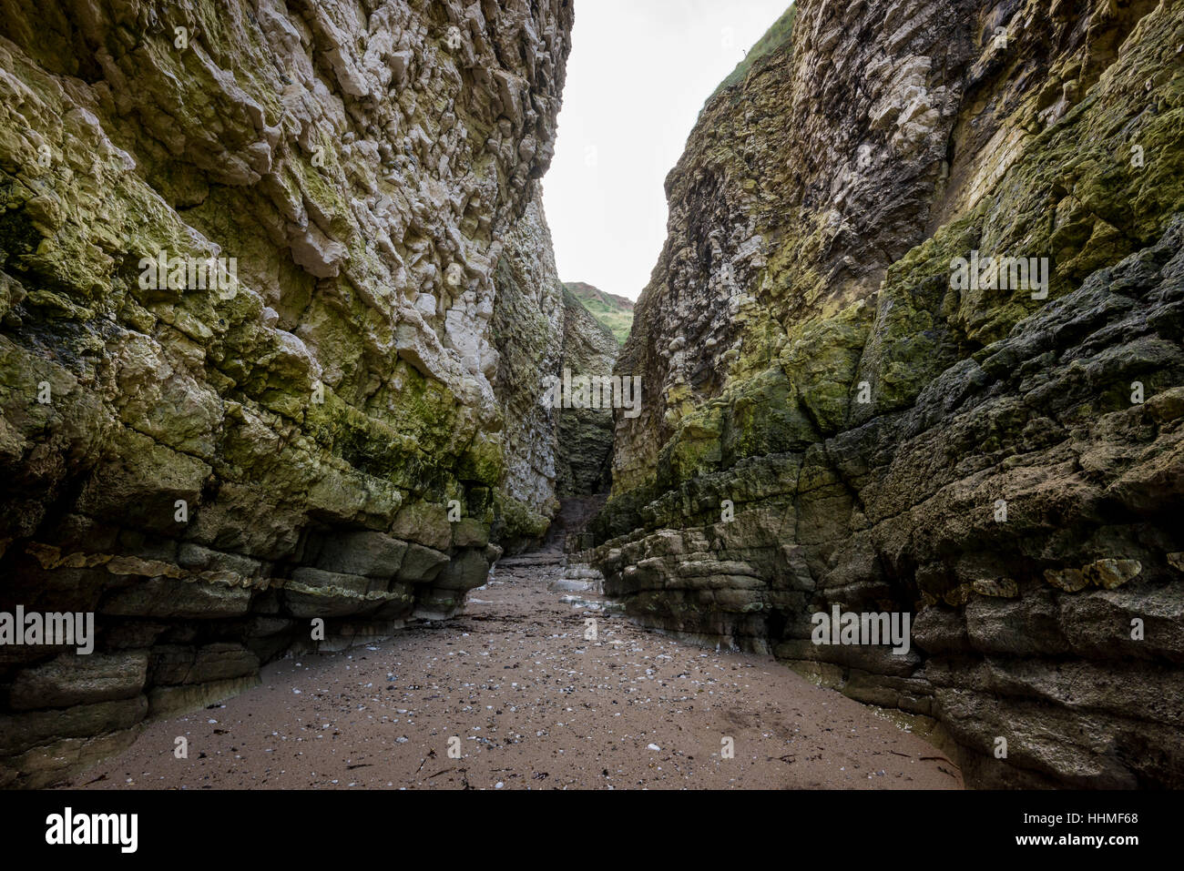 Des falaises rocheuses à Thornwick Bay près de Flamborough, North Yorkshire, Angleterre. Banque D'Images