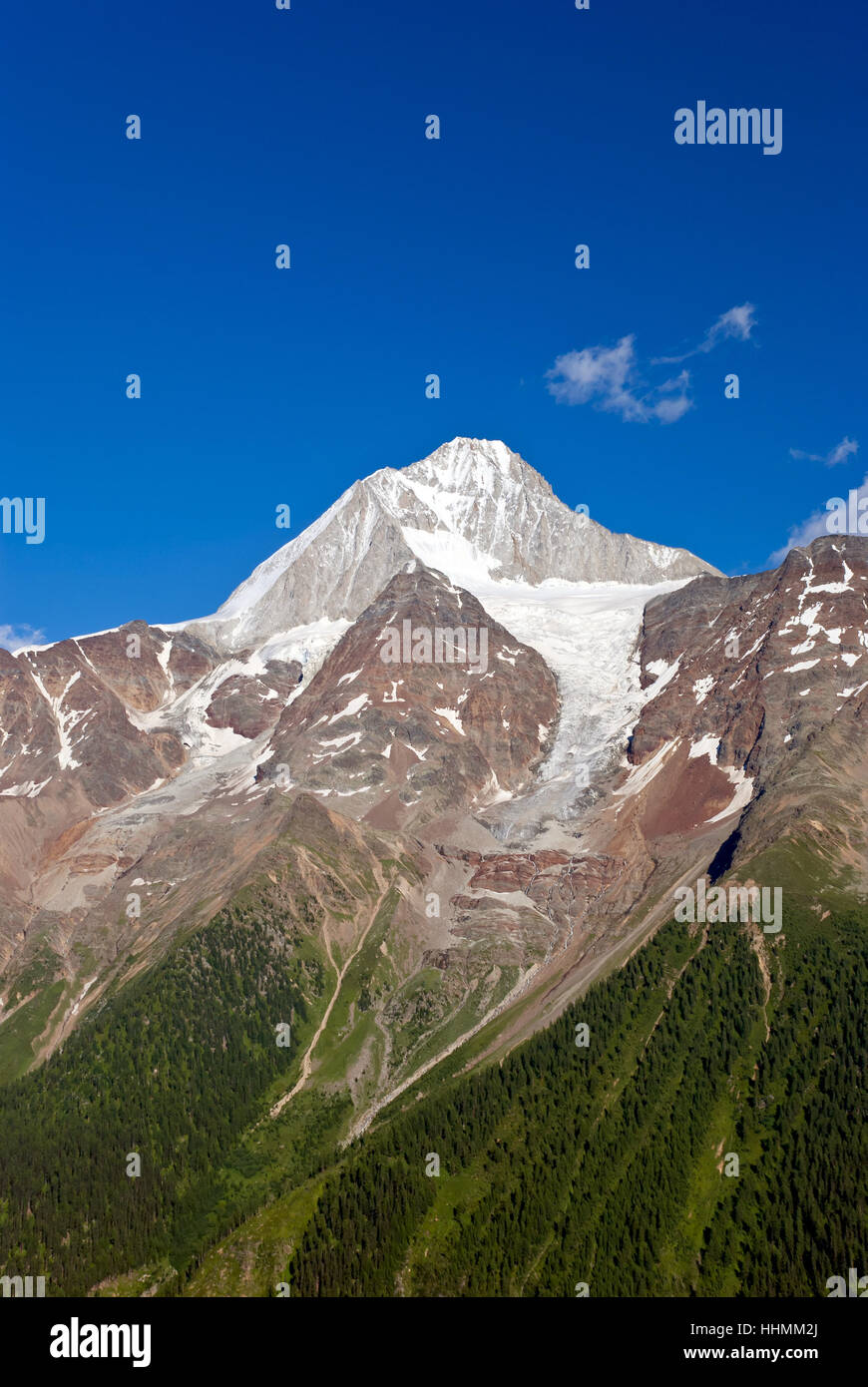 Bietschhorn avec la végétation et les glaciers de la pente Banque D'Images