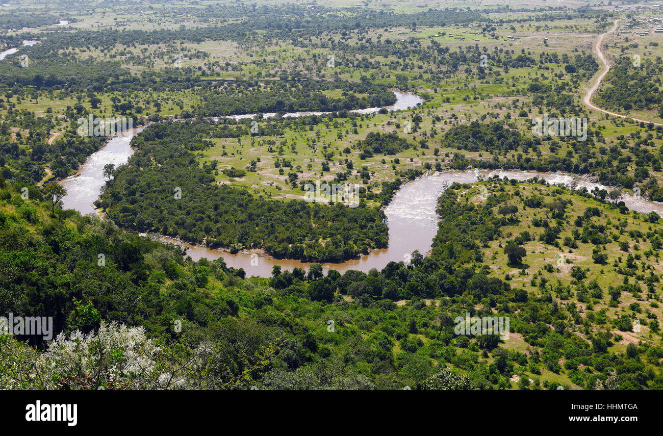 Au-dessus de la rivière Mara, Mara Triangle, Maasai Mara National Reserve, Kenya, comté de Narok Banque D'Images