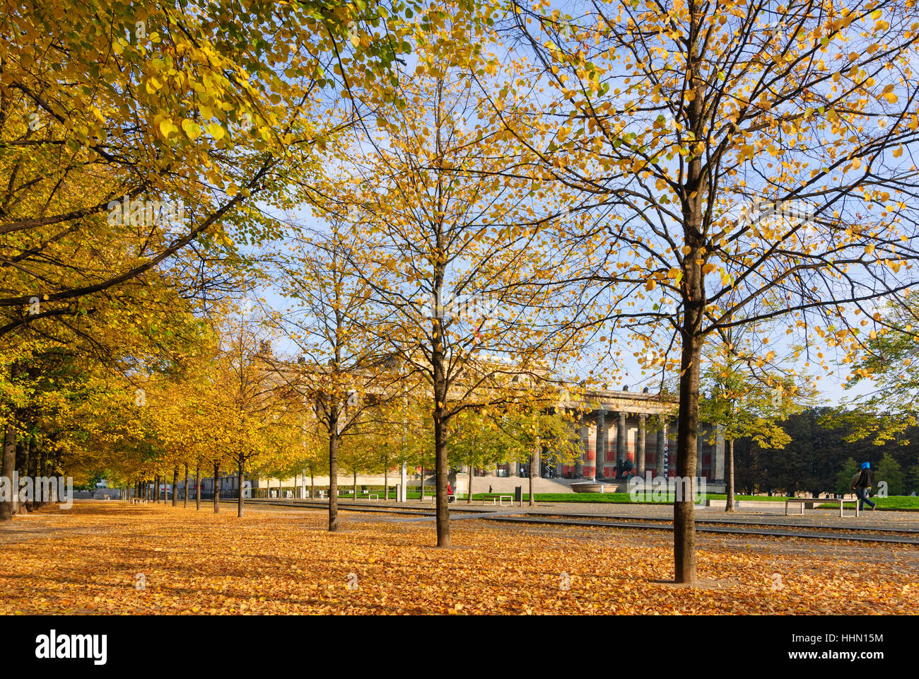 Berlin : Vieux musée sur l'île aux musées, , Berlin, Allemagne Banque D'Images