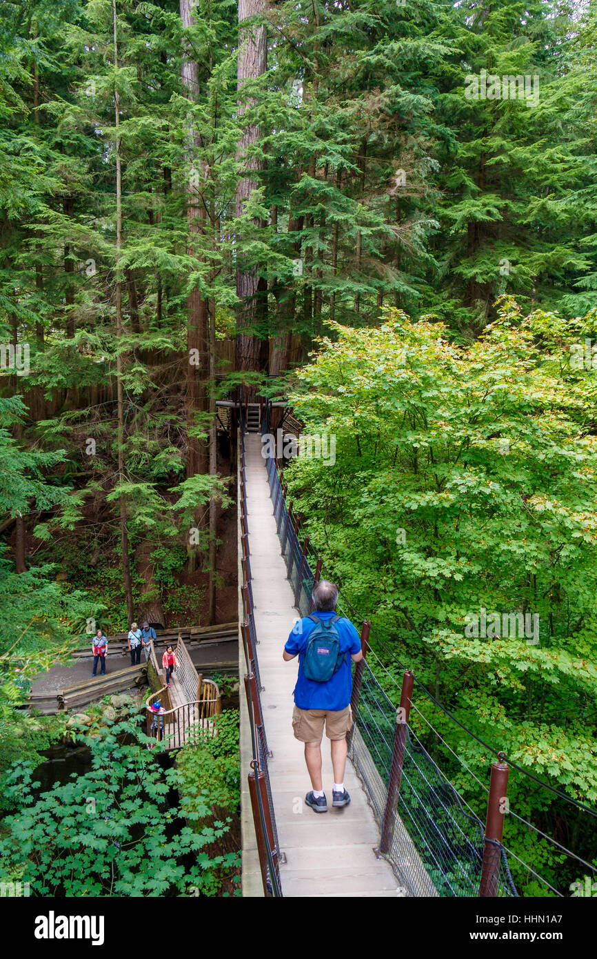 Les touristes sur la Cime des arbres du parc Capilano Aventure, Vancouver, Colombie-Britannique, Canada. Banque D'Images