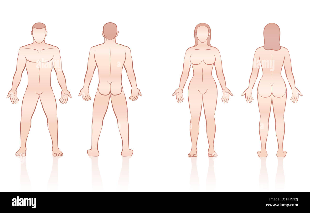 Corps humain - homme nu et de la femme, vues avant et arrière Photo Stock -  Alamy