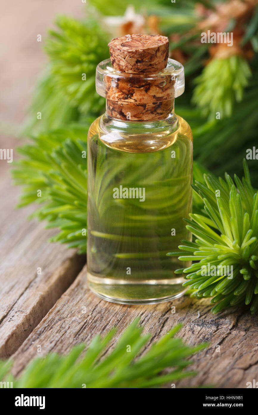 L'huile aromatique d'épinettes et de jeunes branches libre sur une table de bois vertical. Banque D'Images