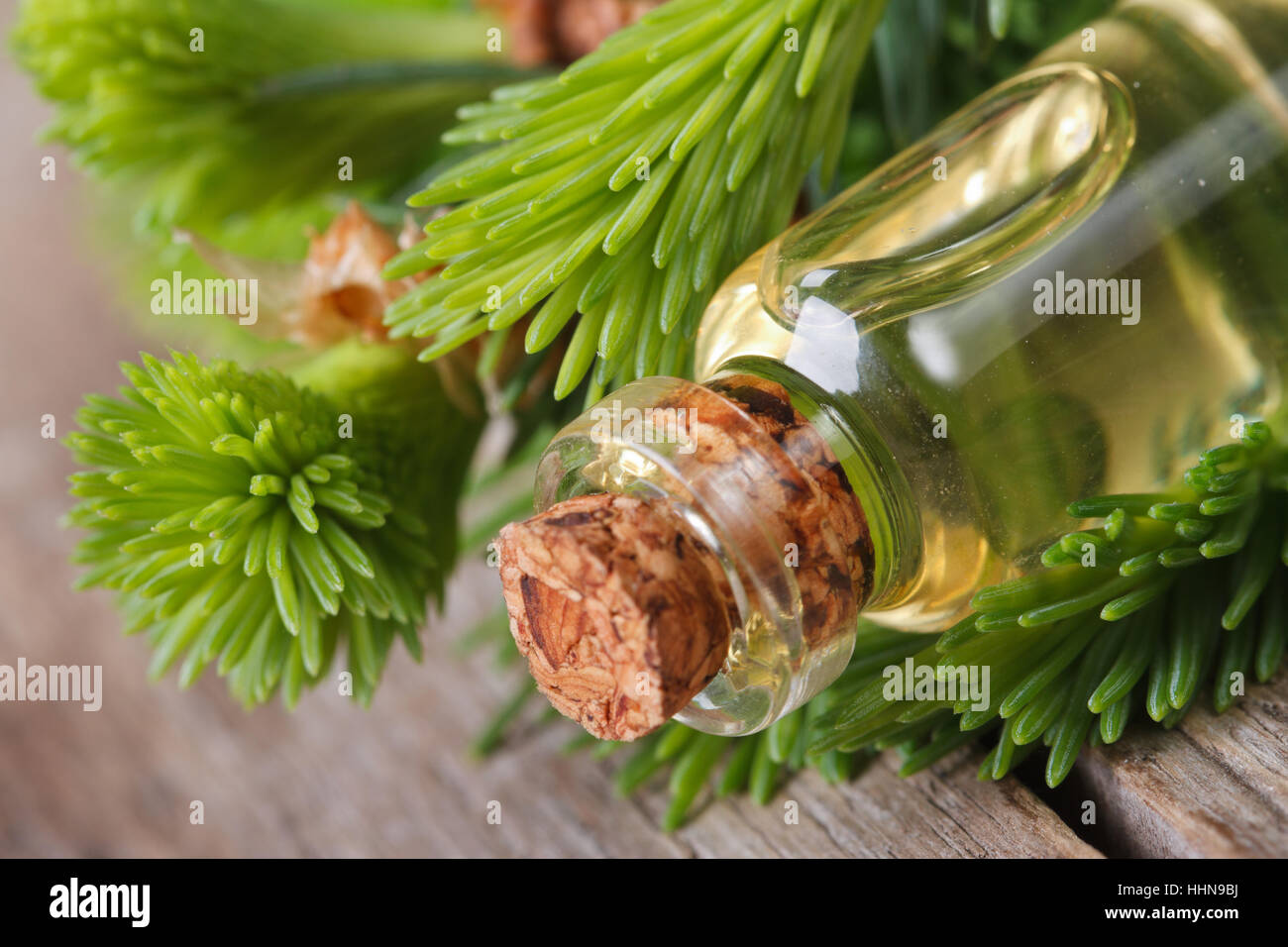 L'huile de sapin dans une bouteille en verre sur l'arrière-plan de jeunes branches horizontales de macro. Banque D'Images