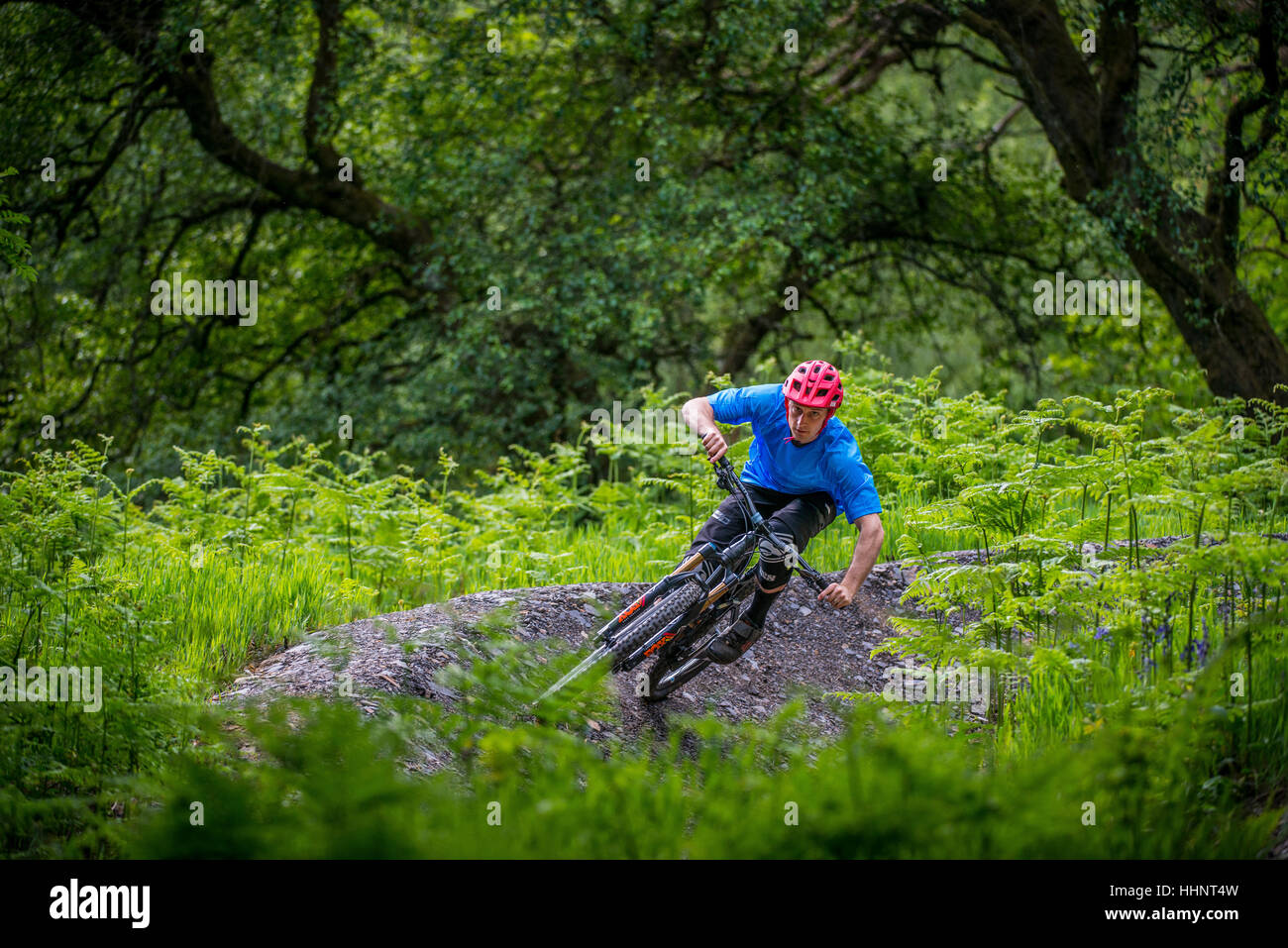 Un vélo de montagne monte un sentier au Bikepark de galles près de la ville de Merthyr Tydfil au Pays de Galles. Banque D'Images