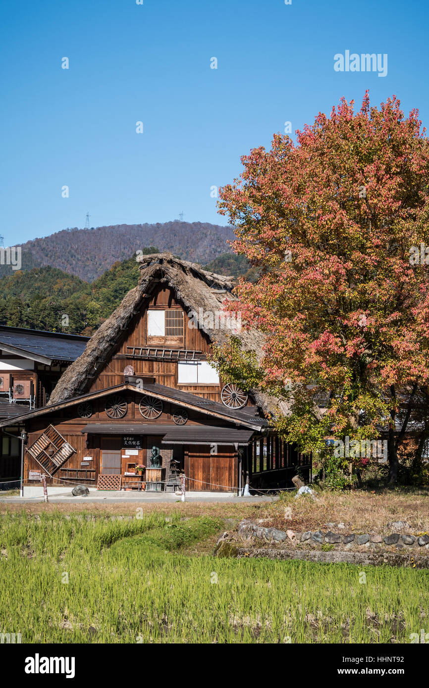 Shirakawa-go en automne, Gifu, Japon Banque D'Images