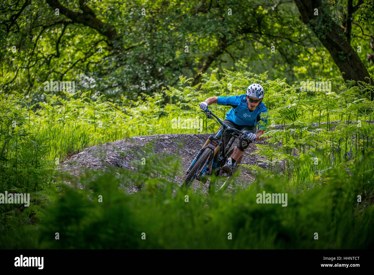 Un vélo de montagne monte un sentier au Bikepark de galles près de la ville de Merthyr Tydfil au Pays de Galles. Banque D'Images