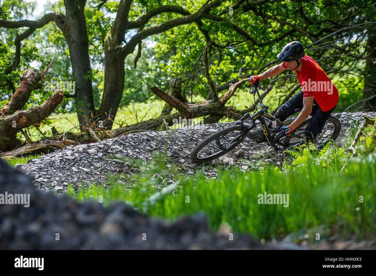 Un vélo de montagne monte un sentier au Bikepark de galles près de la ville de Merthyr Tydfil au Pays de Galles. Banque D'Images